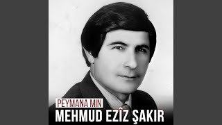 Xwedya Kezî