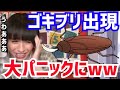 【ひろゆき&amp;りゅうちぇる】生放送中にまさかの事態が発生。事務所にゴキブリが出てパニックに陥る比嘉龍二。その様子を見て西村博之が大爆笑ww【切り抜き/コラボ/論破/ryuchell/ぺこ/G/害虫】