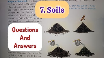 7th Std - Geography - Chapter 7 Soils questions answers exercise - Maharashtra board 