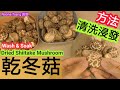 [ENG/中文] 洗冬菇|浸發冬菇|prepare wash soak Dried Mushroom|洗冬菇方法|賀年菜|團年|新年食品|如何處理冬菇|炆冬菇|爽諗彈牙|chewy|tender