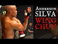 Anderson Silva Wing Chun (8 Minutes of Footage!)