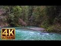 4K Relaxing River | 3 Hours of Water Sounds - Jedediah Smith Redwood State Park
