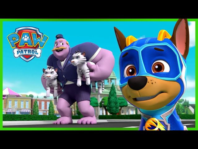 Mais uma novidade para vocês 🎥 #patrulhapata #pawpatrol #fyp #foryou