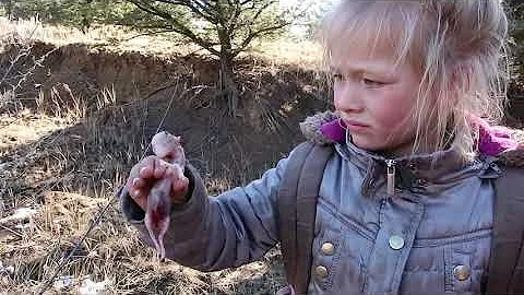 2019 Aislinn's Muzzleloader Cow Elk Hunt