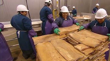 AI CŨNG ĂN THỊT LỢN XÔNG KHÓI RỒI NHƯNG CHẲNG MẤY AI BIẾT QUY TRÌNH SẢN XUẤT RA NÓ