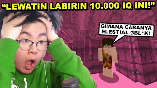 Gw Harus Kerja Bareng Youtuber Ini Untuk Lewatin Teka Teki 10.000 IQ Paling Ribet di Minecraft