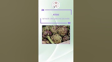 Atiso vị thuốc quý cho sức khoẻ #shorts #health #suckhoechoban