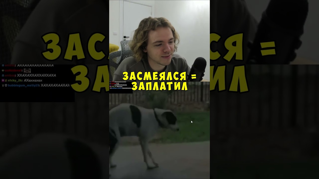 Засмеялся = Заплатил ► twitch: fivfiv001 