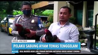 Pelaku Sabung Ayam Tewas Tenggelam | REDAKSI MALAM (06/04/20)