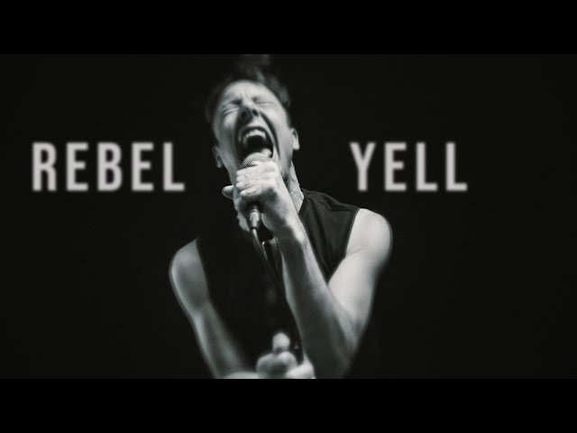 Rebel Yell (metal cover by Leo Moracchioli) class=