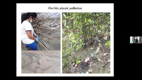 Amplifying Voices Webinar 26 May 2022