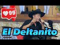 Elio zamorael deltanito en vivo la gran ternera maturin