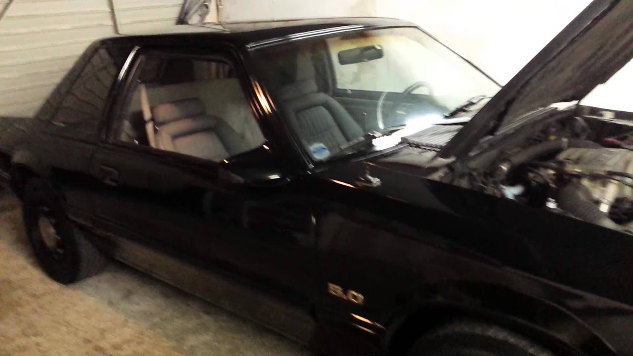 Mustang ssp chp real or fake?