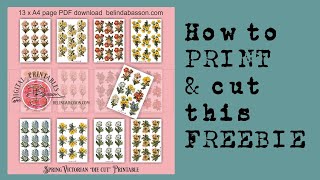 How to print and Cut this FREEBIE
Over on my website, https://www.belindabasson.com/ I have a freebie called Spring Victorian die cut Printable.
In this video I show you how I have cut them on my Brother Scan n Cut, explain the -0,75mm cut setting and how I change my printer settings to get different sizes to print, just using my print options. How to print and Cut this FREEBIE