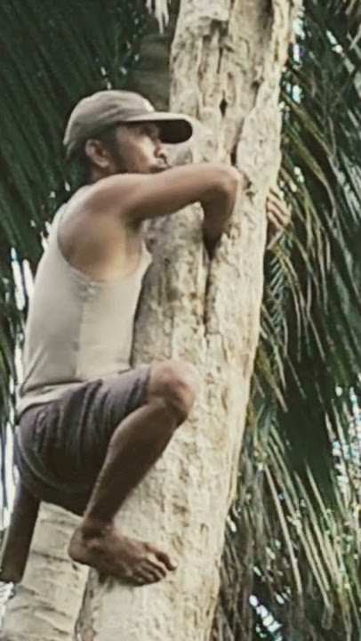 panen anak jalak kerbau#shorts