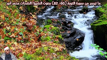 ما تيسر من سورة التوبة (60- 82) بصوت الشيخ/ الشحات محمد أنور