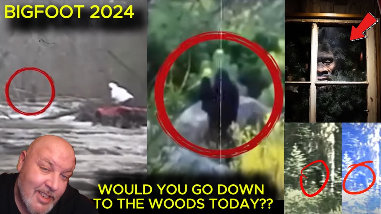 "Top 12 Creepiest Bigfoot Sightings so far in 2024 – I’m a Believer ...