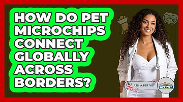 How Do Pet Microchips Connect Globally Across Borders? - Ask A Pet Vet