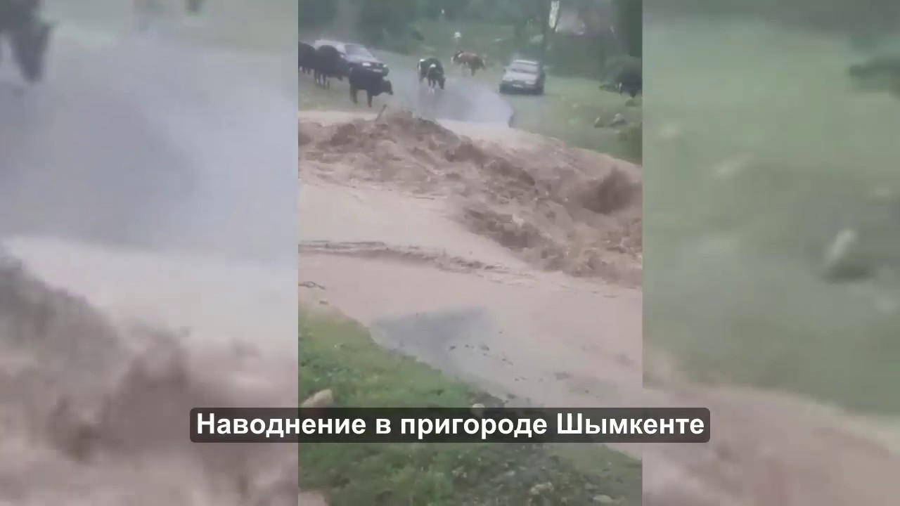 Река бадам в шымкенте Река бадам в шымкенте