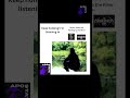 Black Metal Meme Atmospheric Black Metal Nargaroth Lofi Black Metal Burzum Mayhem Darkthrone Emperor
