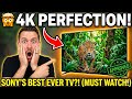 Sony 65 inch tv Review #sonytv #review 