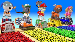 PAW Patrol Guess The Right Door ESCAPE ROOM CHALLENGE Animals Tire Game Cow Mammoth Elephant Tiger