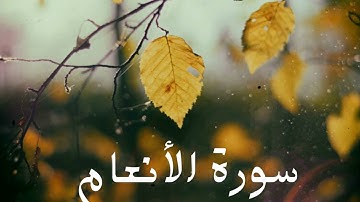 سورة الأنعام كاملة للشيخ هاني الرفاعي بصوت عذب و جميل و تلاوة رائعة و بدقة عالية ... توقف و أرح قلبك