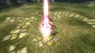 C9: Impractical Bladedancer Combos