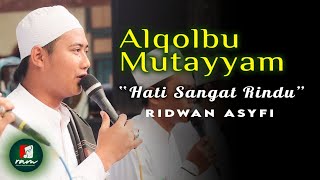 Alqolbu Mutayyam || Lirik Terjemah
