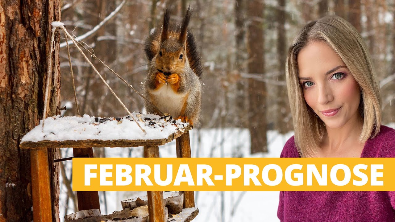 Februar-Prognose: Eisiger Start in den letzten Wintermonat?