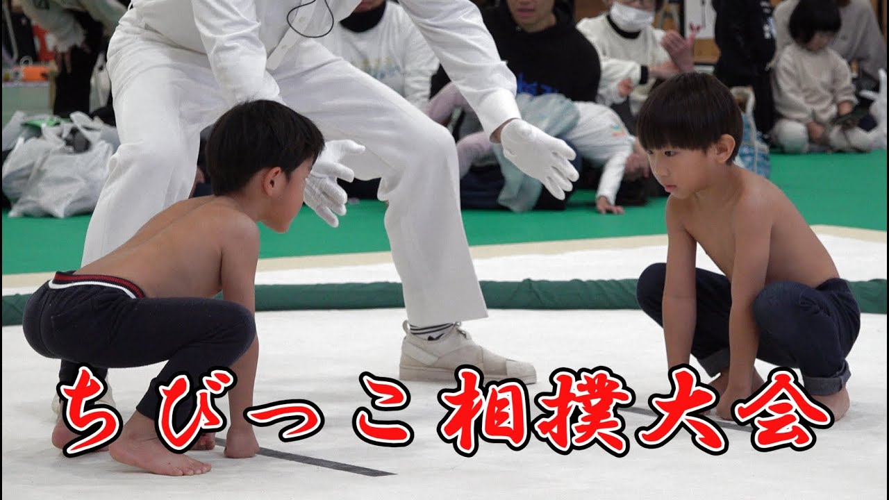 ちびっこ相撲大会その１　四万十市産業祭　しまんとのチカラフェスタ