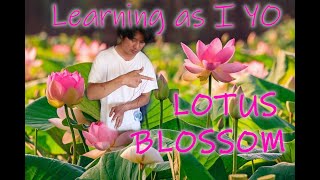 Lotus Bloom - Learning as I YO