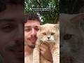 Conheça Mew, o gatinho mais fofinho da internet 🐈💖