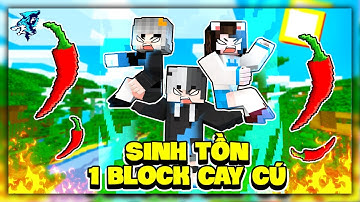 Minecraft nhưng Thế Giới Bị Giới Hạn? Siro Sinh Tồn 1 Block Siêu Cay Cú cùng Mèo Simmy và Sammy Đào
