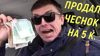 Как продать чеснок в розницу