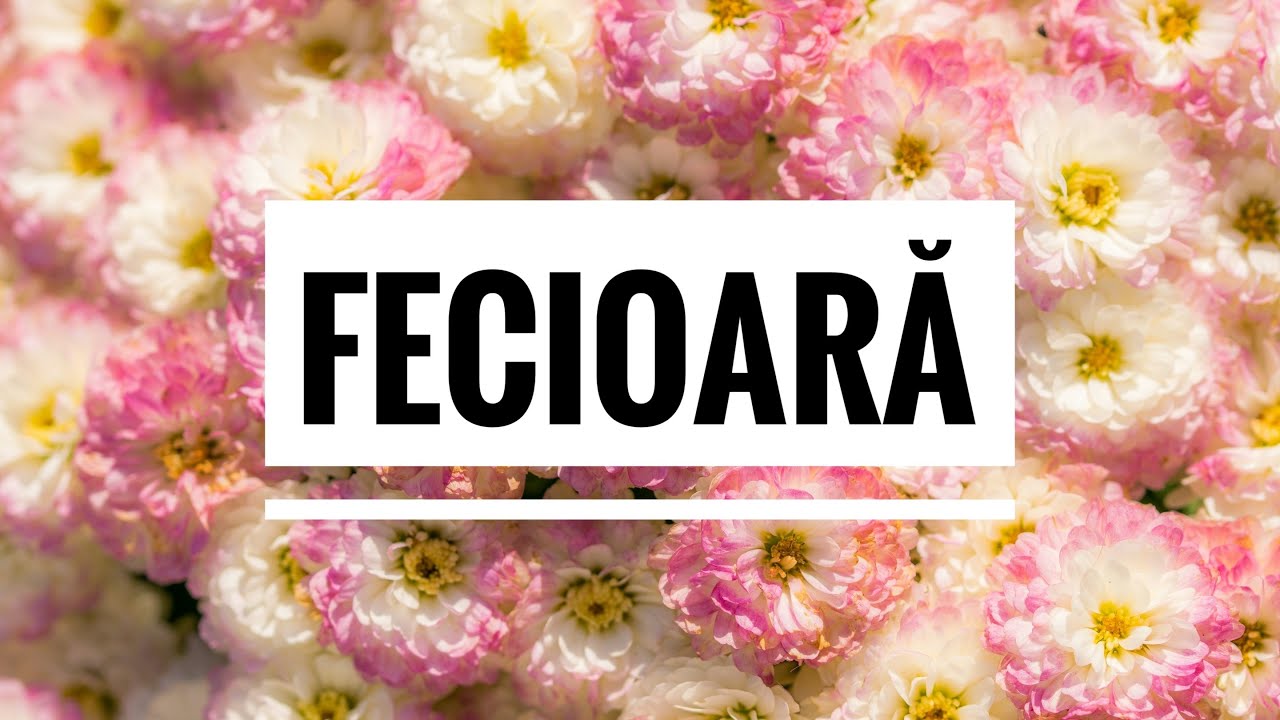 FECIOARĂ ♍️ Totul este pe umerii Dvs dar aveți înțelepciunea necesară să faceți totul pentru toți