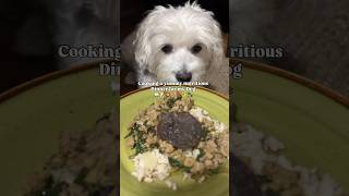 Cooking dinner for my Dog🐾🐶 #homecookedmeals #dogshorts #cookingdinner #cockapoo #dogmom