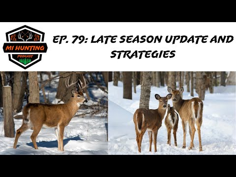 Ep. 79: Late Season Update And Strategies