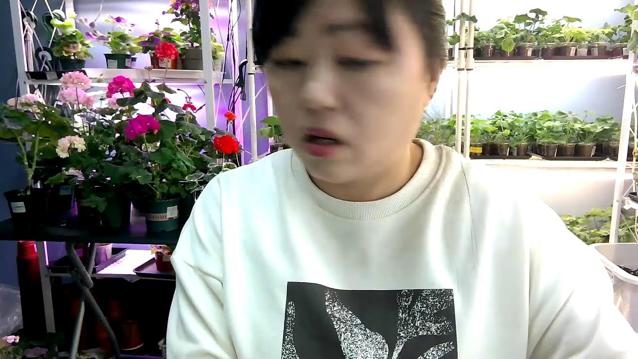 마지막 봄맞이 이벤  시작합니다.