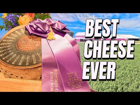 Does Wisconsin Have The Best Cheese?