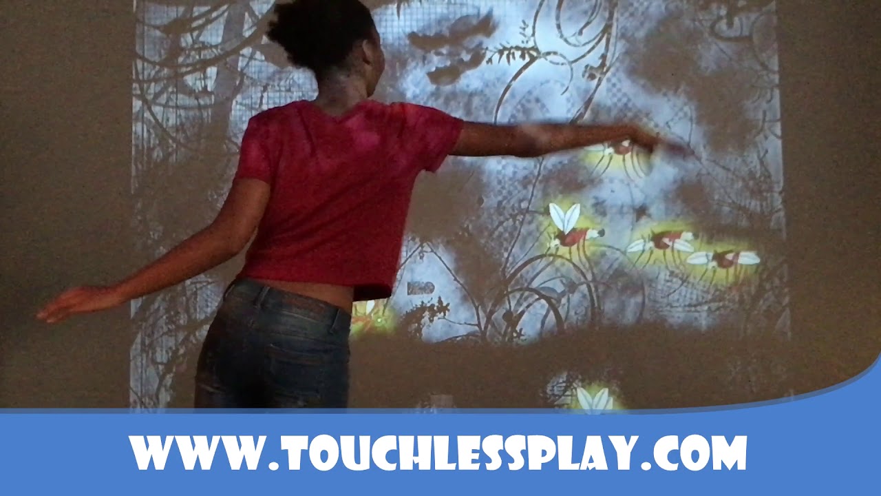 Housefly - Dunn Interactive Surface Kit