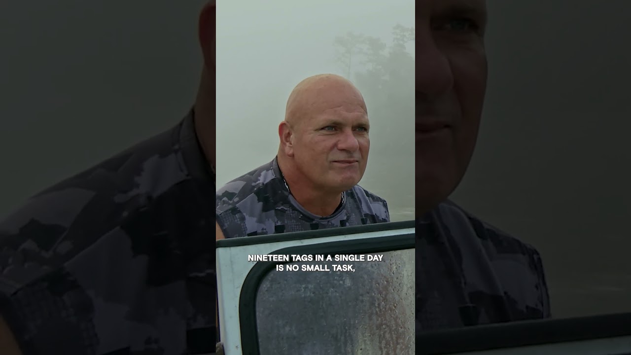 Film backdrop image for The Swampers Battle Exhaustion and Storm Season (2025)