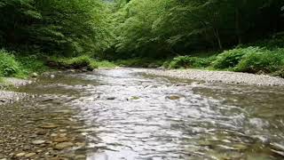 🌊 Meditation Ambience – 2 Hours of Crystal Clear River Flowing over Rocks with Birds Singing 🕊️✨