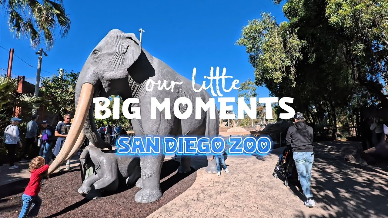 Another Day, Another Attraction… This Time: San Diego Zoo 🐘