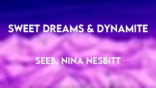 Sweet Dreams \& Dynamite - SeeB, Nina Nesbitt [Lyrics Video] 🎁