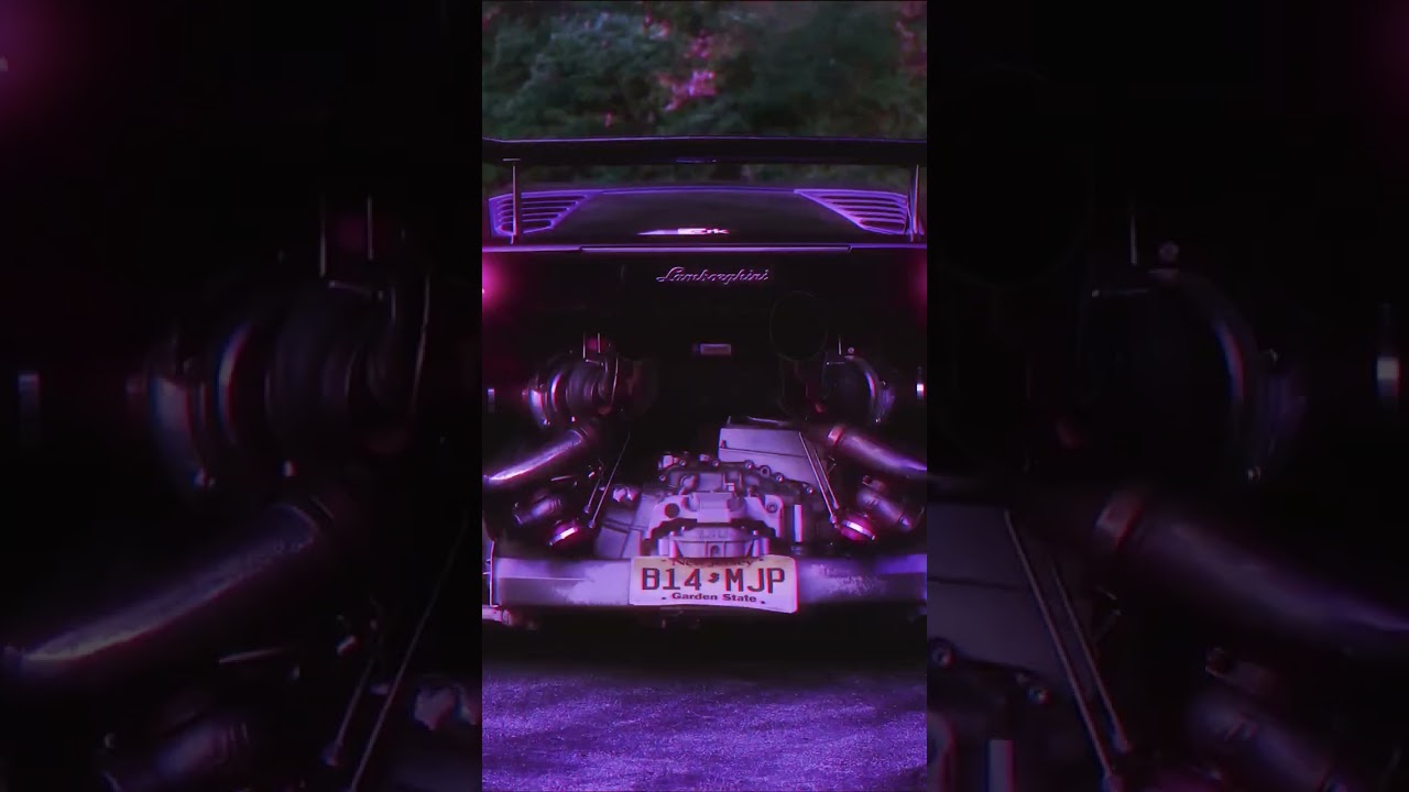 Video by Brennan Wright