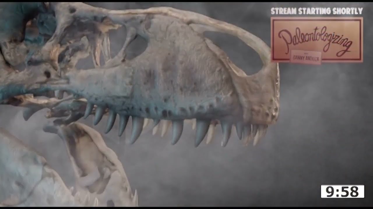 FOSSIL SCIENCE & EVOLUTION STREAM (w/ paleontologist Danny Anduza)