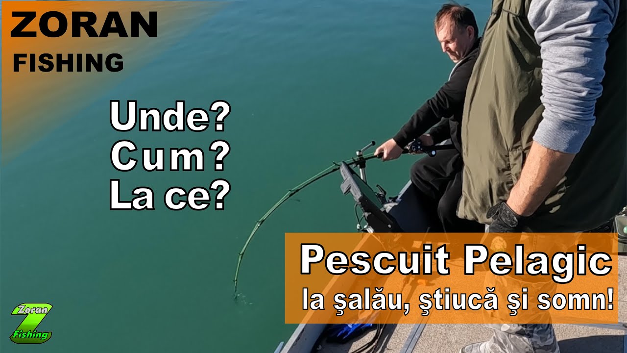 Pescuiesc PELAGIC la salau, stiuca si somn!