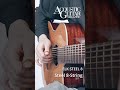 STEEL 8|ELKの多弦ギター弾き比べ by井草聖二 #acousticguitar #guitar #elkguitars