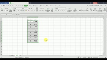 How to delete blank data on WPS Spreadsheet or MS. Excel